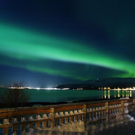 Vikran Vacation: Sea Fishing And Northern Lights Exterior photo