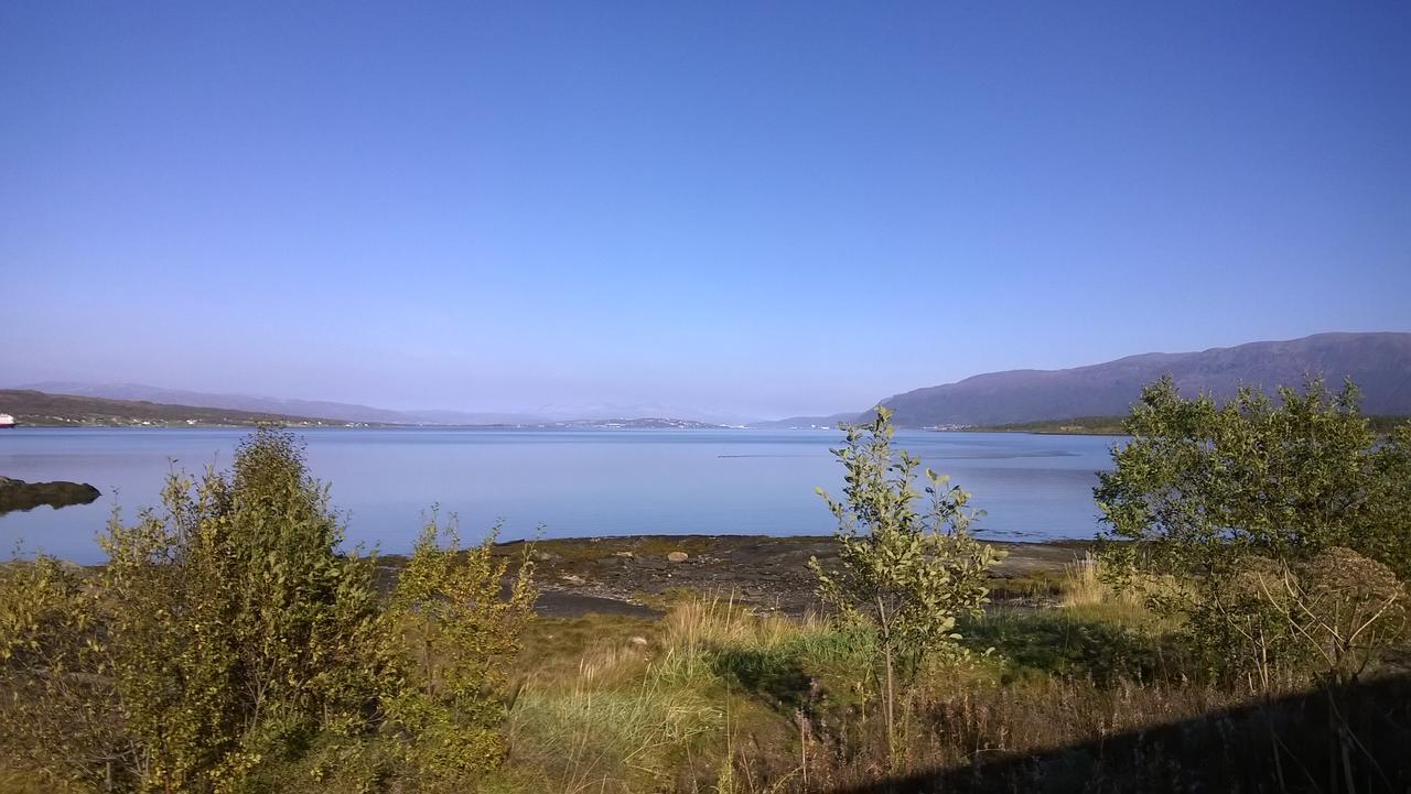 Vikran Vacation: Sea Fishing And Northern Lights Exterior photo