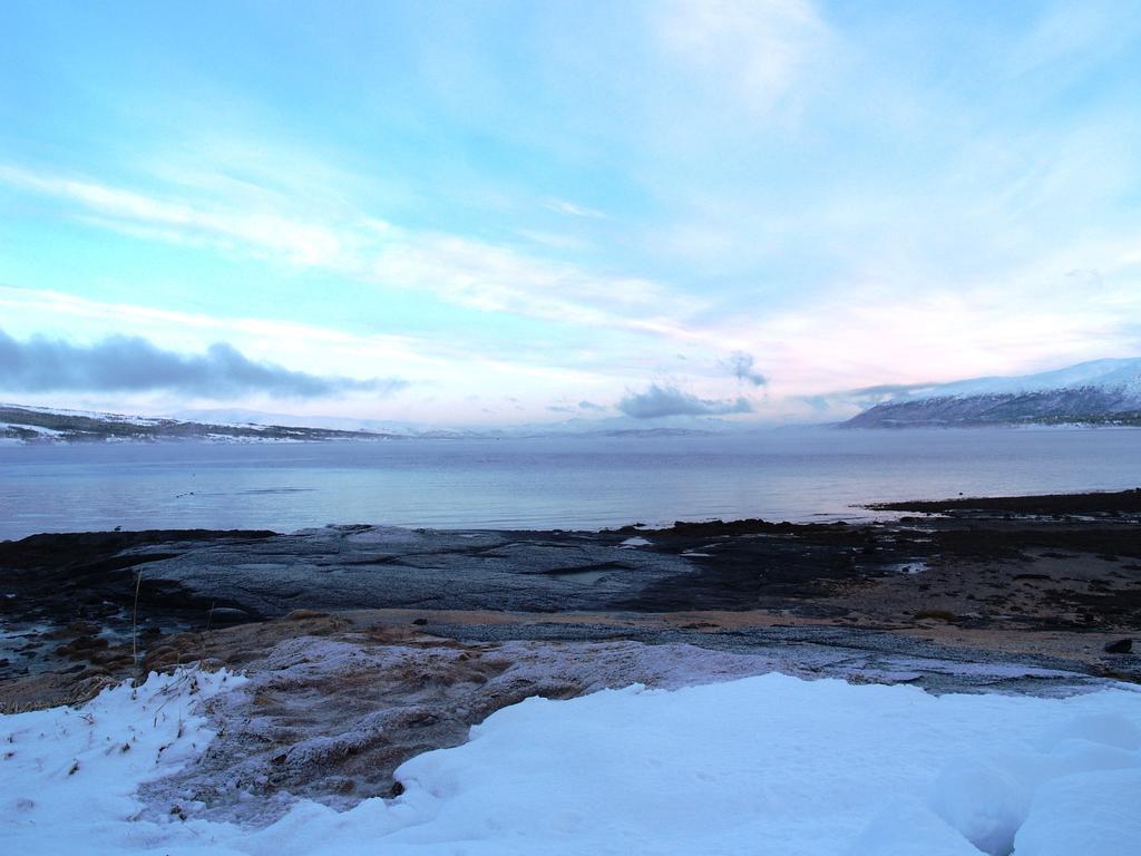 Vikran Vacation: Sea Fishing And Northern Lights Exterior photo