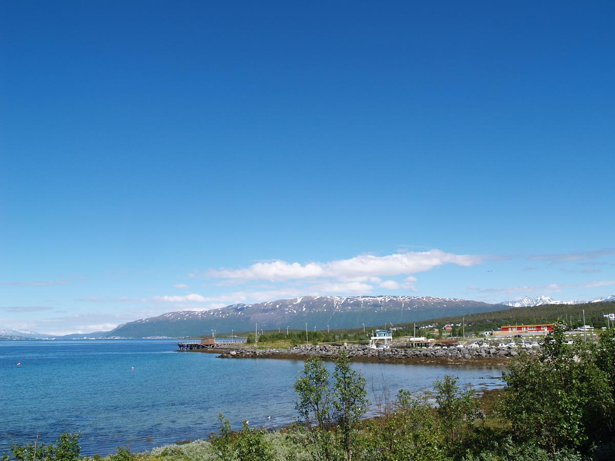 Vikran Vacation: Sea Fishing And Northern Lights Exterior photo