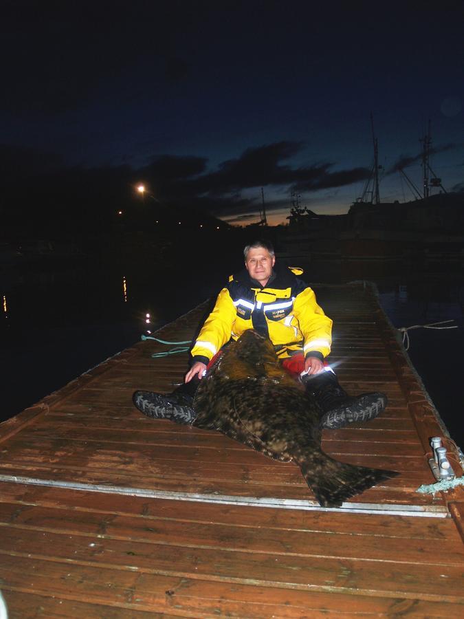 Vikran Vacation: Sea Fishing And Northern Lights Exterior photo