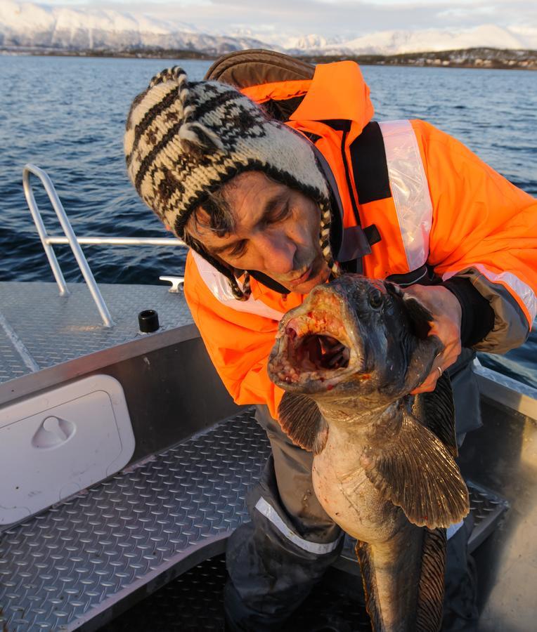 Vikran Vacation: Sea Fishing And Northern Lights Exterior photo