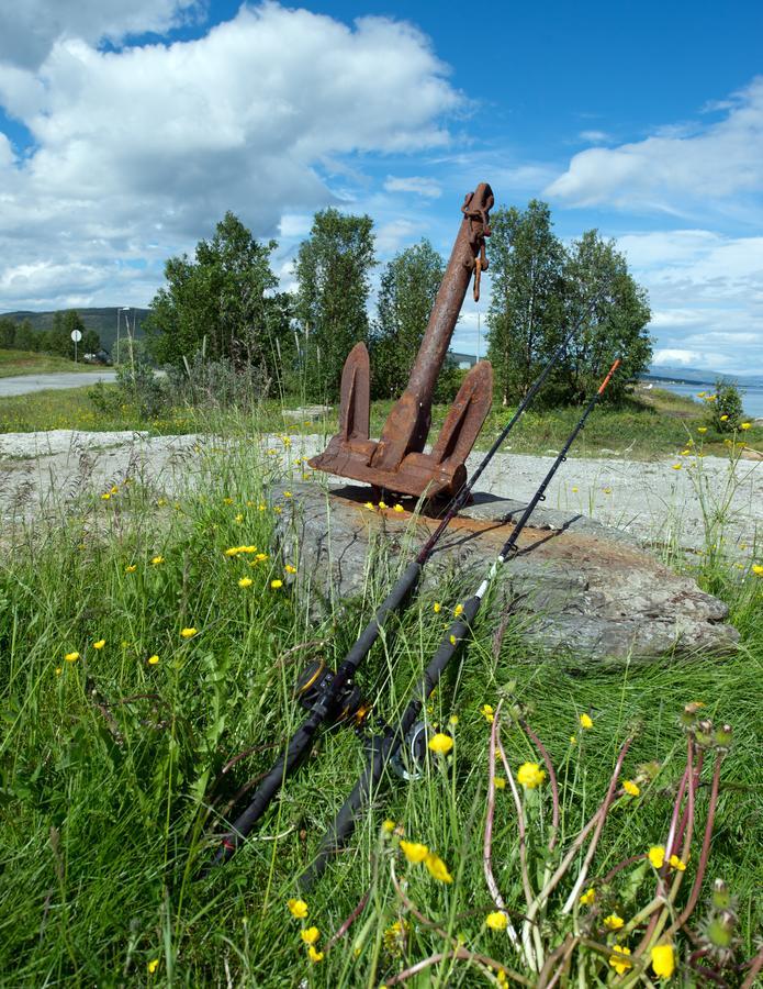 Vikran Vacation: Sea Fishing And Northern Lights Exterior photo