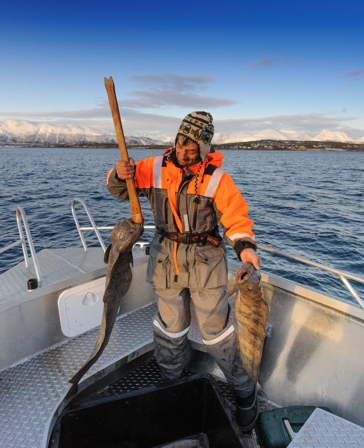 Vikran Vacation: Sea Fishing And Northern Lights Exterior photo