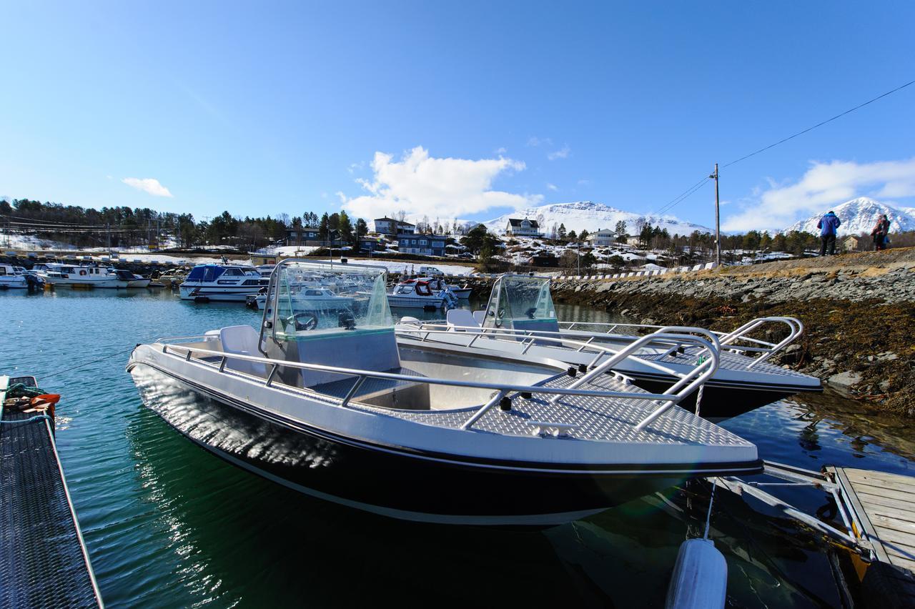Vikran Vacation: Sea Fishing And Northern Lights Exterior photo