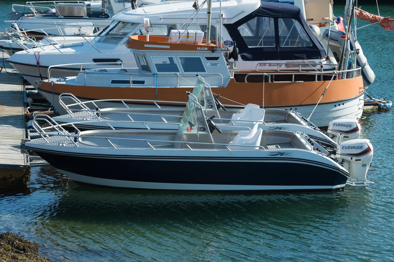 Vikran Vacation: Sea Fishing And Northern Lights Exterior photo