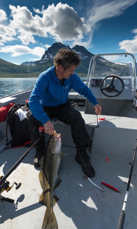 Vikran Vacation: Sea Fishing And Northern Lights Exterior photo