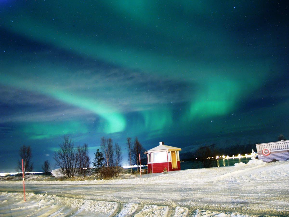 Vikran Vacation: Sea Fishing And Northern Lights Exterior photo