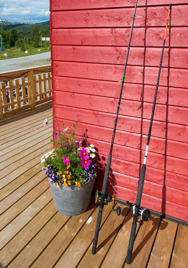 Vikran Vacation: Sea Fishing And Northern Lights Exterior photo