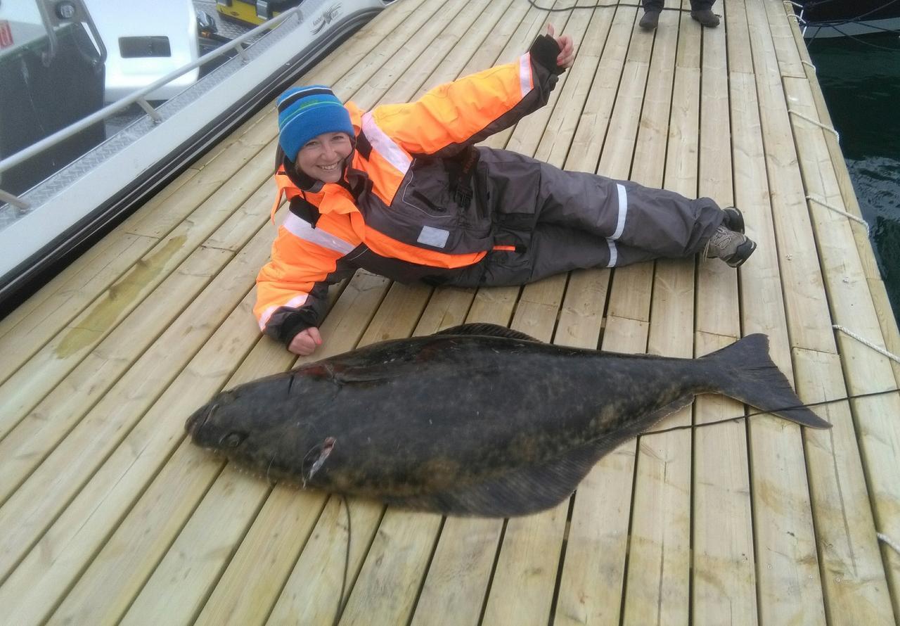 Vikran Vacation: Sea Fishing And Northern Lights Exterior photo