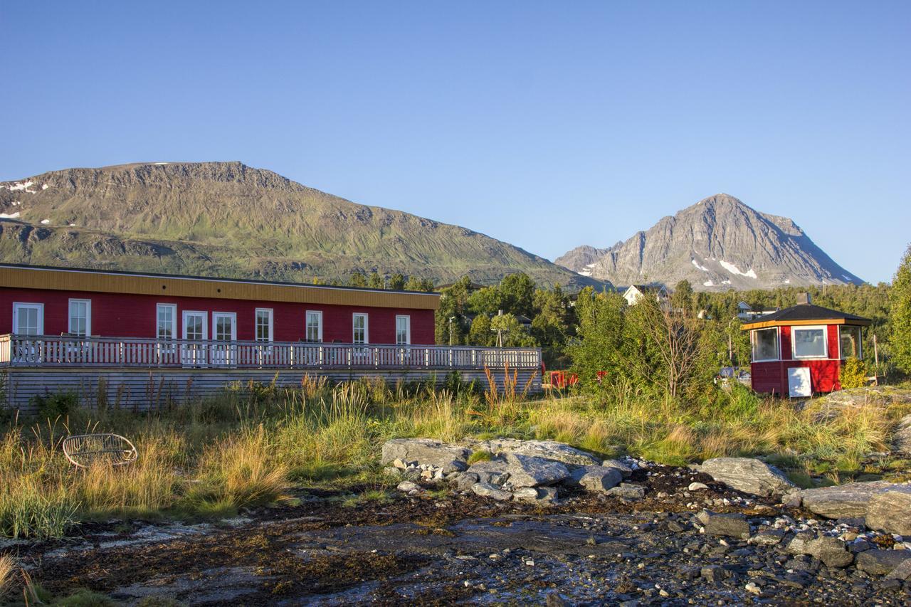 Vikran Vacation: Sea Fishing And Northern Lights Exterior photo