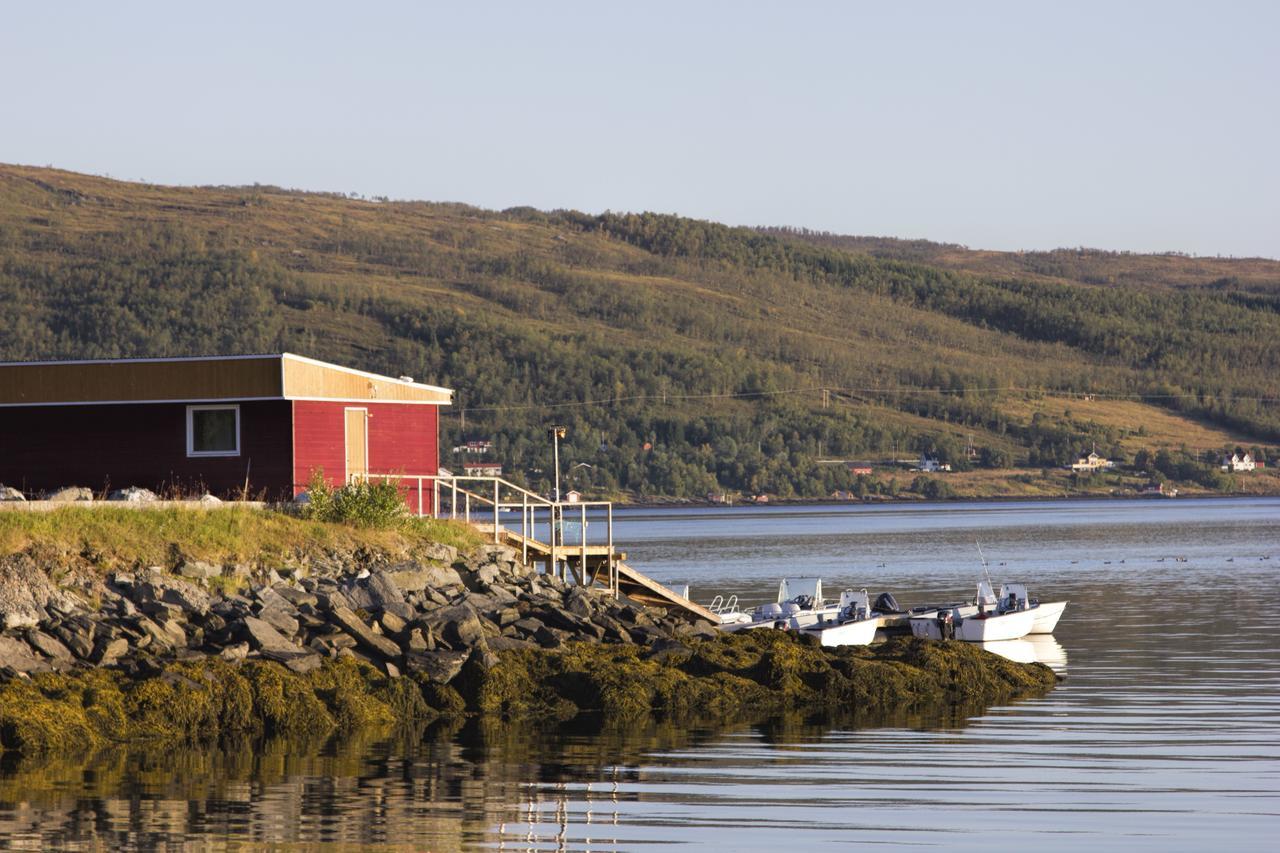 Vikran Vacation: Sea Fishing And Northern Lights Exterior photo