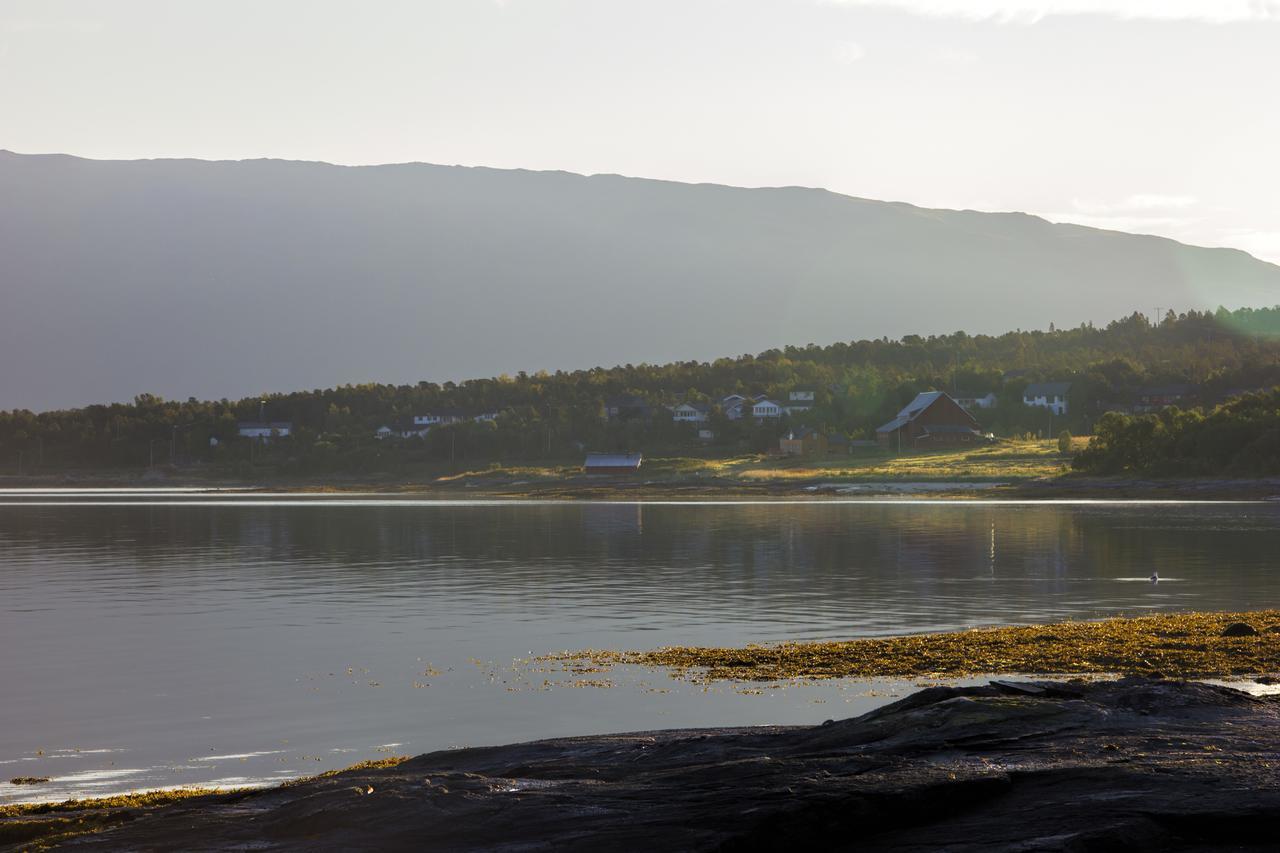 Vikran Vacation: Sea Fishing And Northern Lights Exterior photo