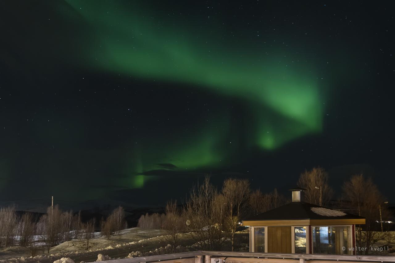 Vikran Vacation: Sea Fishing And Northern Lights Exterior photo